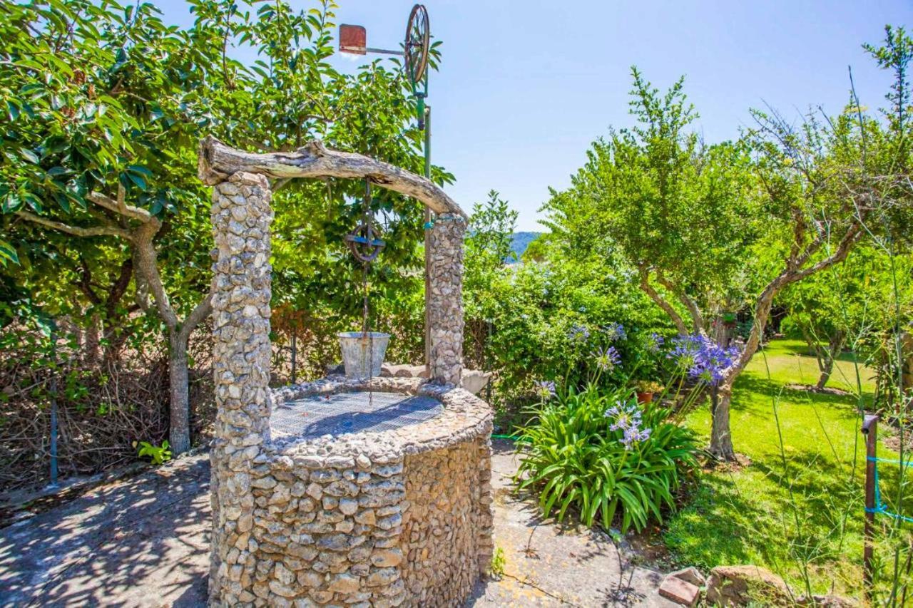 Llarg Pollença